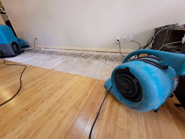 Professional Water Damage Repair technician working in Keyes, CA